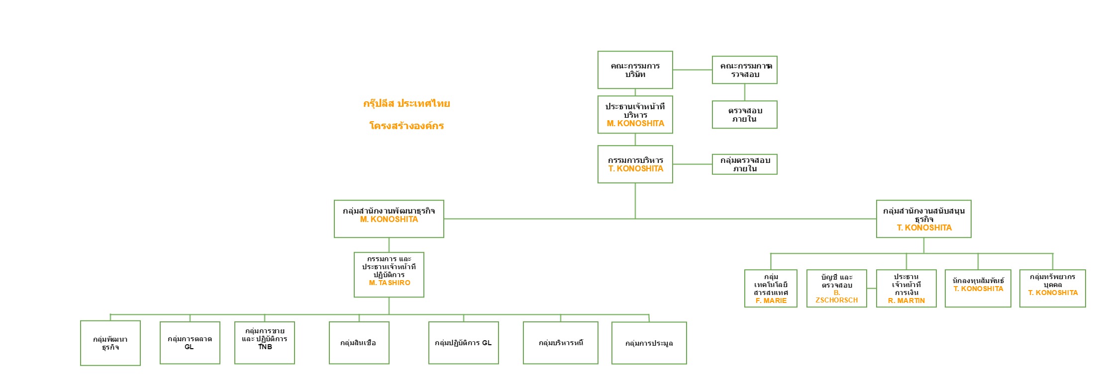 Tnb Organization Chart 2017